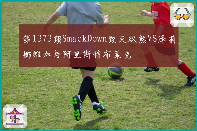 第1373期SmackDown毁灭双煞VS泽莉娜维加与阿里斯特布莱克