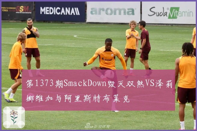 第1373期SmackDown毁灭双煞VS泽莉娜维加与阿里斯特布莱克