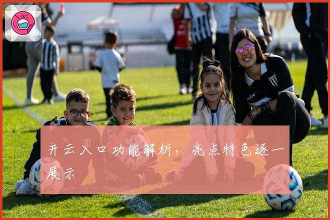 开云入口功能解析，亮点特色逐一展示