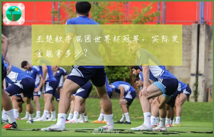 王楚钦夺混团世界杯冠军，实际奖金能拿多少？