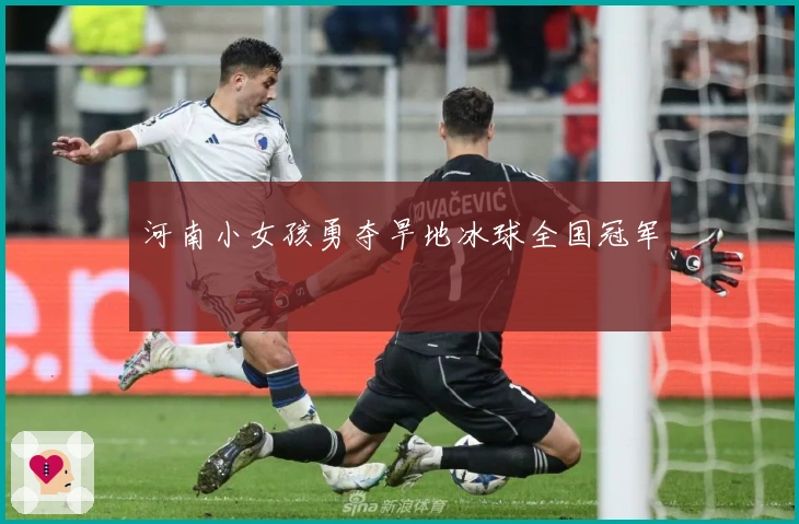 河南小女孩勇夺旱地冰球全国冠军